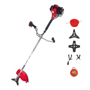 Cea mai buna motocoasa - Ruris Zimbru 100s